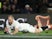 England scrum-half Robson ruled out with blood clots