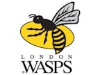 Sheehan joins Wasps