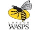 Sheehan joins Wasps