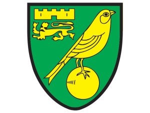 Norwich City trio injured on tour