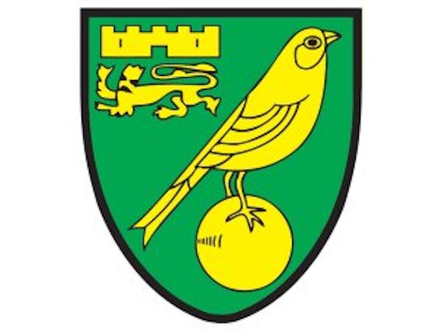 Roberto Martinez: 'Norwich City did well'