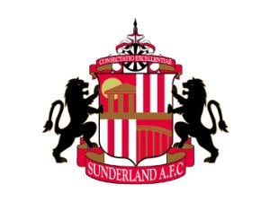 Sunderland appoint Staunton as scout