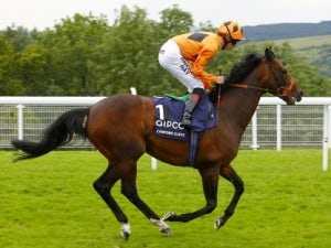 Canford Cliffs retires to stud