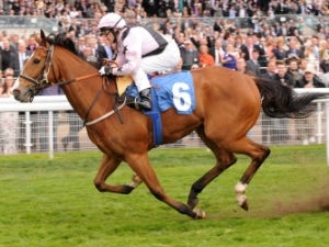 Hoof It supplemented for York