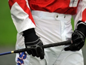 BHA: 'Whip rules to be reviewed'