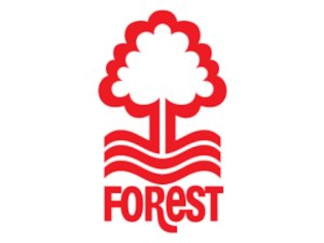 Mid-season report: Forest