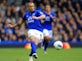 Heitinga wanted by Real Mallorca