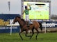 Kauto Star pulls up in Gold Cup