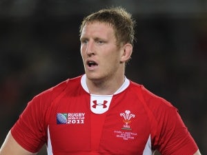 Davies fears for Wales future