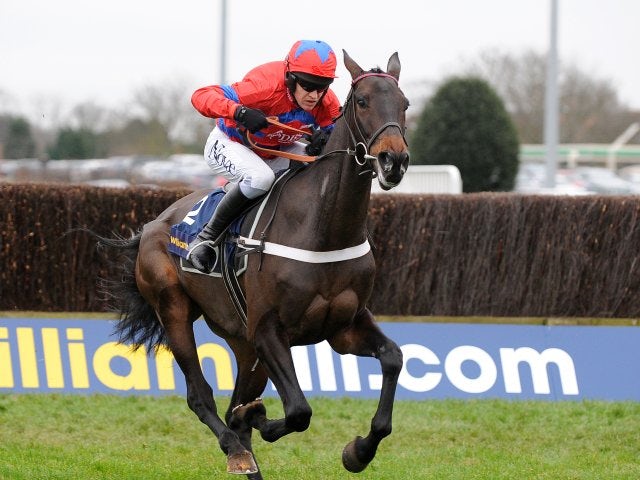 Sprinter Sacre wins Queen Mother Champion Chase