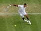 Freak accident rules Jo-Wilfried Tsonga out of Cincinnati Open