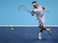 David Ferrer hails "dream" Masters victory