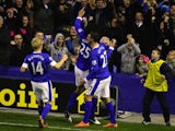 Marouane Fellaini celebrates scoring for Everton