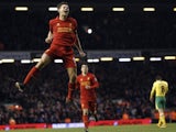 Liverpool skipper Steven Gerrard celebrates his goal against Norwich on January 19, 2013