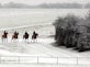 Cheltenham's Cross Country Chase postponed