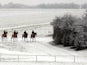 Snow covered tracks with racehorses walking on it, dated January 19, 2001
