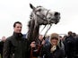 Champagne Fever after winning the William Hill Supreme Novices' Hurdle during day one of the 2013 Cheltenham Festival on March 12, 2013
