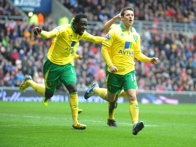 Norwich City's Wes Hoolahan celebrates scoring against Sunderland on March 17, 2013