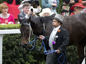 Black Caviar to be retired