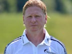 Markus Gisdol praises Hoffenheim passion