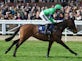 Former Grand National winner retired