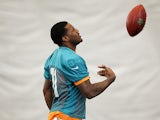 Miami Dolphins wide receiver Mike Wallace during a training workout on June 4, 2013