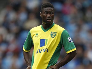 Norwich City's Alexander Tettey during the Premier League match against Manchester City on May 19, 2013