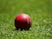 A cricket ball on the field