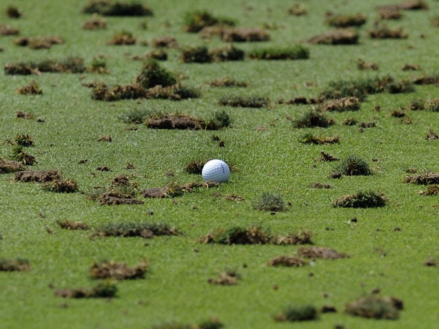 A golf ball sits among the divots on the driving range during a practice round on August 10, 2009