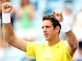Del Potro elated by victory over Nadal