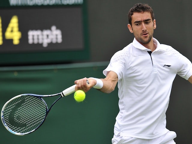 cilic tennis shirt