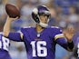 Vikings QB Matt Cassel in action against the Tennessee Titans on August 29, 2013