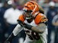 Bengals re-sign Maualuga