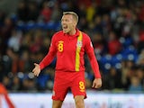 Wales player Craig Bellamy reacts during the FIFA 2014 World Cup Qualifier Group D match between Wales and Macedonia at Cardiff City Stadium on October 11, 2013