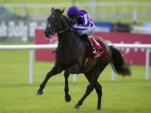 'Perfect racehorse' Camelot retires
