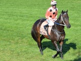 Retired horse Black Caviar walks around the track with her regular jockey Luke Nolen for her final farewell from the racetrack on April 20, 2013