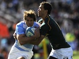 Argentina's Los Pumas' Gonzalo Camacho vies for the ball with South Africa's Springboks' Bjorn Basson during the Rugby Championship 2013 match at Malvinas Argentinas stadium in Mendoza, some 1050 km west of Buenos Aires, Argentina on August 24, 2013