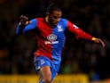 Danny Gabbidon of Palace in action during the Barclays Premier league match between Norwich City and Crystal Palace at Carrow Road on November 30, 2013