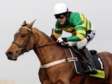 Tony McCoy and Binocular clear the last flight before landing The toteplacepot Contenders Hurdle Race run at sandown Park Racecourse on February 6, 2010
