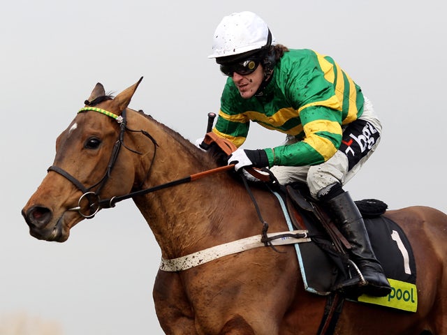 Tony McCoy and Binocular clear the last flight before landing The toteplacepot Contenders Hurdle Race run at sandown Park Racecourse on February 6, 2010