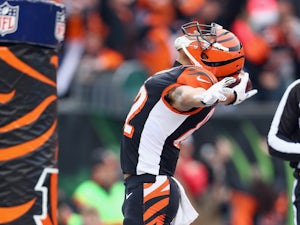 Bengals maintain perfect home record