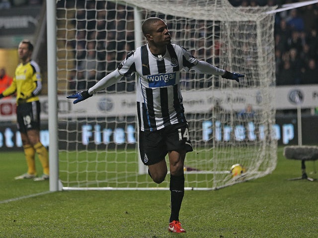 Newcastle United's French striker Loic Remy celebrates scoring their third goal during the English Premier League football match between Newcastle United and Stoke City at at St James' Park in Newcastle-upon-Tyne, northeast England on December 26, 2013