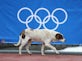 USA silver medallist to adopt strays?