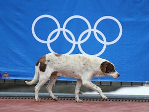 USA silver medallist to adopt strays?