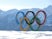 General view of the Olympic rings in Sochi on February 5, 2014.