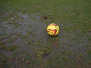 Blades vs. Bees called off