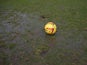 A ball sits on a waterlogged pitch