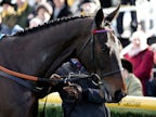 Sprinter Sacre to have "full MOT" after pulling out of Cheltenham
