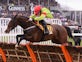 Racehorse Our Conor suffers fatal fall in Cheltenham Champion Hurdle