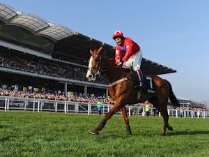 Sire De Grugy to miss Cheltenham reappearance